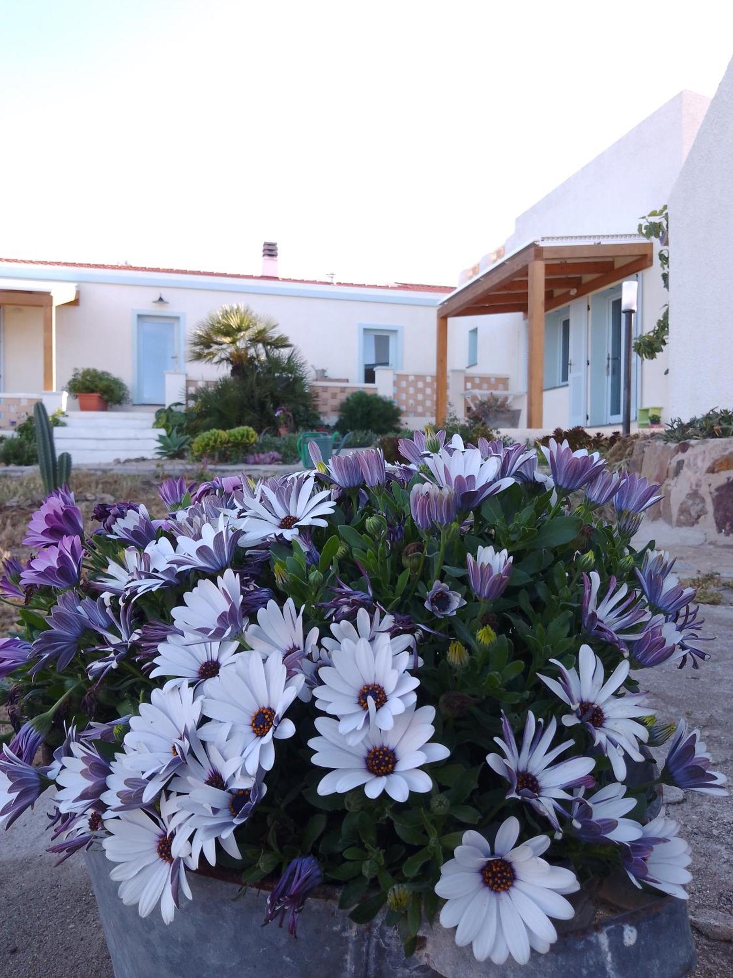 Lispusada Agriturismo Adults Only Biancareddu Buitenkant foto